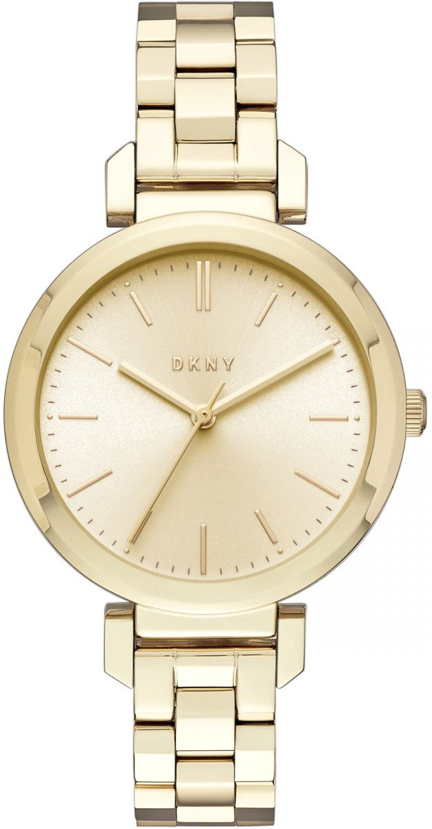 Dkny ellington ferritic watch