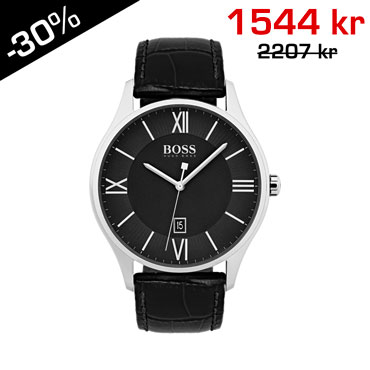 Hugo Boss HB1513485